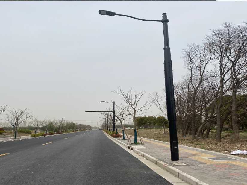 费县上海综合杆 太阳能路灯工程